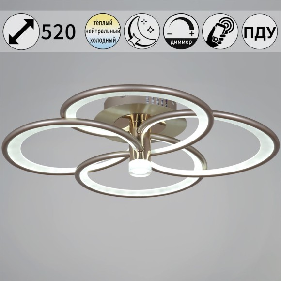 Потолочная светодиодная люстра Reluce 09246-0.3-4S Champaign silver