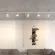 Трековый однофазный светильник Novotech Port Selene 359918