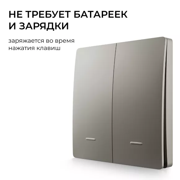 Выключатель кинетический 2кл., IP44, 2,4 ГГц, Smart, сер. Apeyron 04-79, Серый