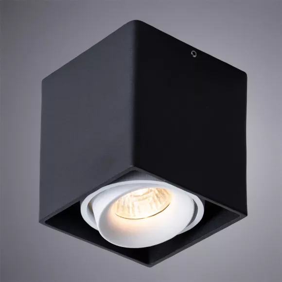 Потолочный светильник Arte Lamp Pictor A5654PL-1BK Потолочный светильник Arte Lamp Pictor A5654PL-1BK