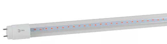Фитолампа для растений Эра FITO-18W-RB-Т8-G13-NL Б0042990, Теплый белый, Современный стиль, Россия, светодиодный модуль