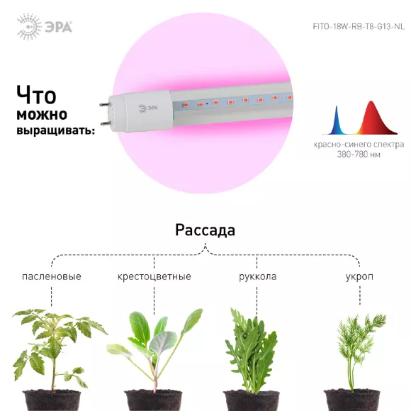 Фитолампа для растений Эра FITO-18W-RB-Т8-G13-NL Б0042990, вид сверху