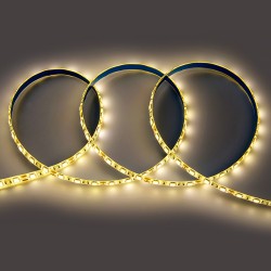 Светодиодная лента General GLS-5050-60-14.4-12-IP65-3 5031