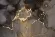 Постеры (2 шт.) Garda Decor 89VOR-MARBLE7/2, крупный план