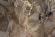 Постеры (2 шт.) Garda Decor 89VOR-MARBLE7/2, Россия, крупный план