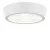 Потолочный светильник Lightstar Urbano Mini LED 214702