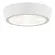 Потолочный светильник Lightstar Urbano Mini LED 214702