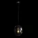 Подвесной светильник Loft IT Gallo 10293 Clear, декоративные элементы крупным планом