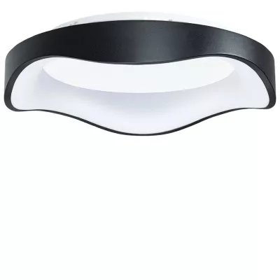Потолочный светильник Arte Lamp Ankaa A3085PL-48BK