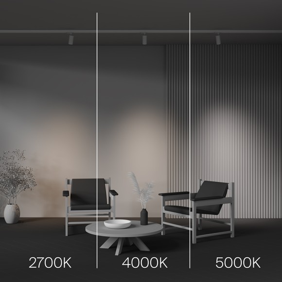 Трековый трехфазный светильник Maytoni Focus Led TR197-3-12WCCT-M-W