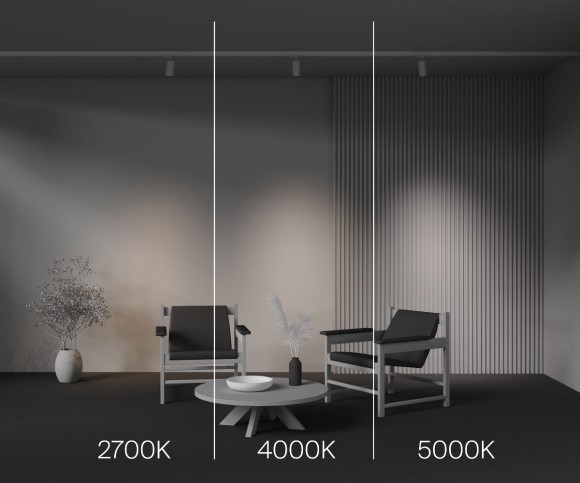 Трековый трехфазный светильник Maytoni Focus Led TR197-3-12WCCT-M-W