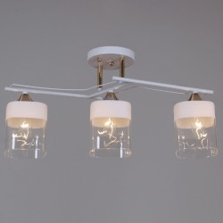 Потолочная люстра Reluce 06096-0.3-03 WH+FG