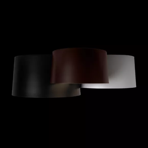 Потолочный светильник Loft IT Duo 10360/3