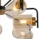 Люстра на штанге Illumico IL8248-6COU-79 BK GD, декоративные элементы крупным планом