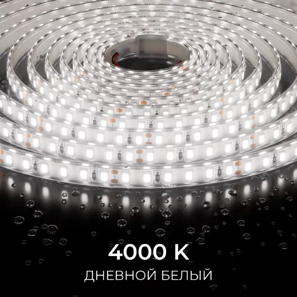 Светодиодная лента Apeyron 24В, 9,6 Вт/м, 800 лм/м, 4000К, smd2835, 120 д/м, IP65, 5м 00-442 Светодиодная лента Apeyron 24В, 9,6 Вт/м, 800 лм/м, 4000К, smd2835, 120 д/м, IP65, 5м 00-442