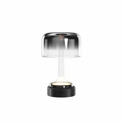 Настольная лампа с аккумулятором Maytoni Spirito MOD286RL-L3B3K