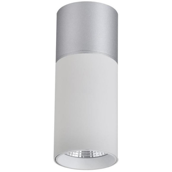 Накладной светильник Favourite Deepak 3071-1C