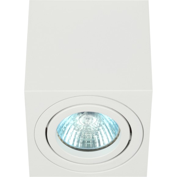 Накладной светильник Эра OL22 WH Б0054394