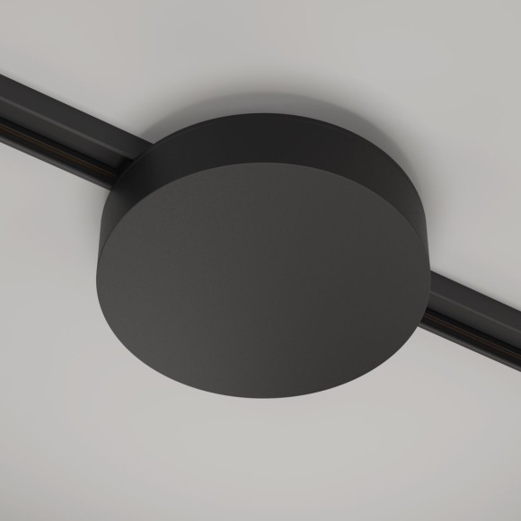 Источник напряжения Maytoni Basity 200Вт DC48 IP54 TRA172DR-200W-DS-B