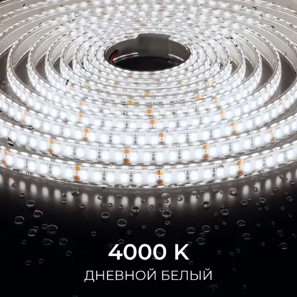 Светодиодная лента Apeyron 24В, 12 Вт/м, 1000 лм/м, 4000К, smd2835, 180 д/м, IP65, 5м 00-448