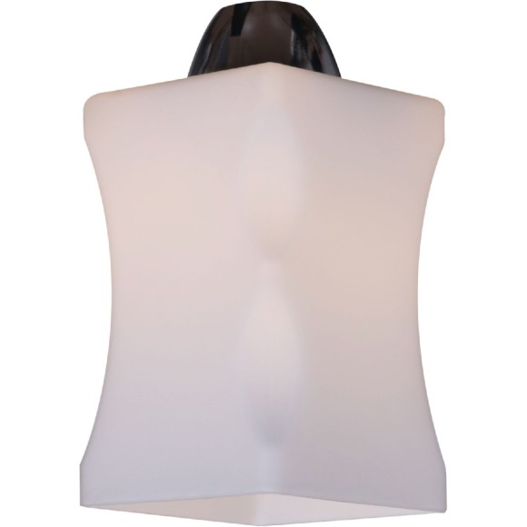 Потолочный светильник Reluce 06595-0.3-02