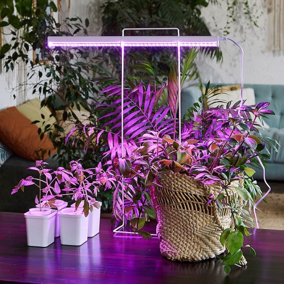 Cветодиодный светильник для растений (UL-00002991) Uniel ULI-P20-10W/SPSB IP40 White