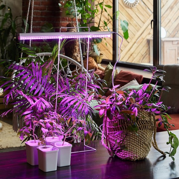 Cветодиодный светильник для растений (UL-00002991) Uniel ULI-P20-10W/SPSB IP40 White