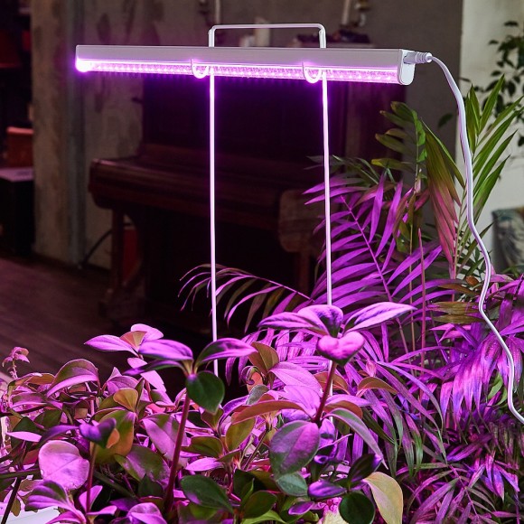 Cветодиодный светильник для растений (UL-00002991) Uniel ULI-P20-10W/SPSB IP40 White