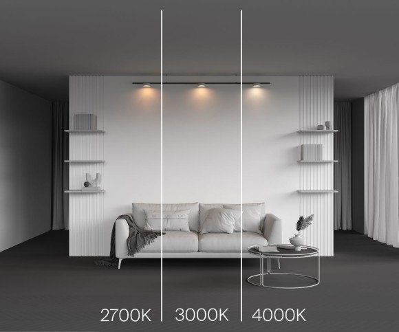 Трековый магнитный светильник Maytoni Zon TR189-1-12W3K-BW