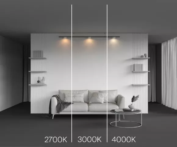 Трековый магнитный светильник Maytoni Zon TR189-1-12W3K-BW