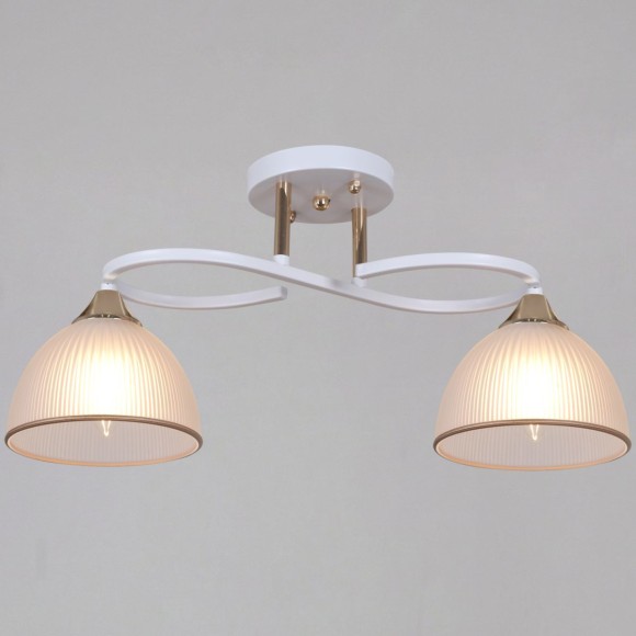 Потолочный светильник Reluce 68560-0.3-02 WH+FG