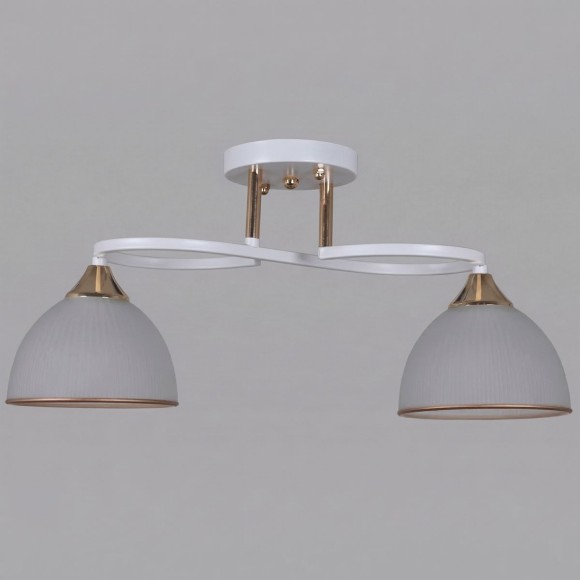 Потолочный светильник Reluce 68560-0.3-02 WH+FG