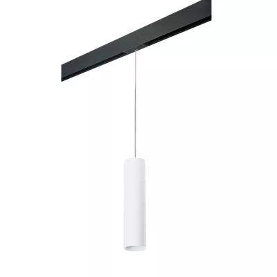 Трековый светильник Lightstar Rullo PRORP496 (214496+595857)