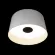 Потолочный светильник Loft IT Duo 10360L White