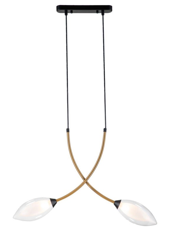 Подвесной светильник Indigo Fiore 13001/2P Black V000140