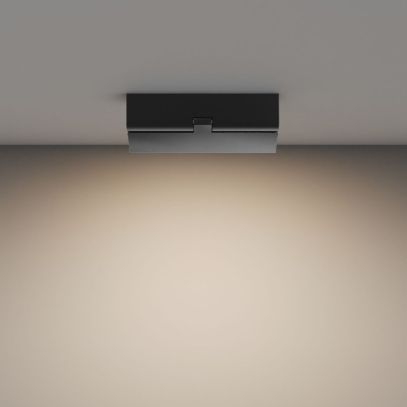 Настенно-потолочный светильник Maytoni Basis Rot C133CL-12W3K-B