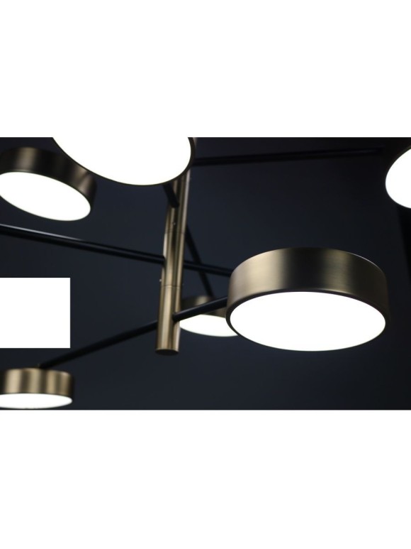 Люстра на штанге Zortes Lunar ZRS.01243.08