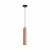 Подвесной светильник Lumion Suspentioni Shamarel 8355/1A
