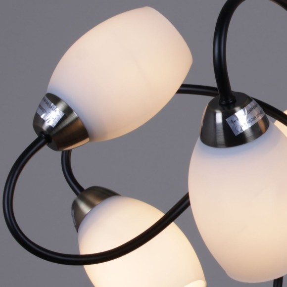 Люстра на штанге Reluce 01270-0.3-08B BK+AB