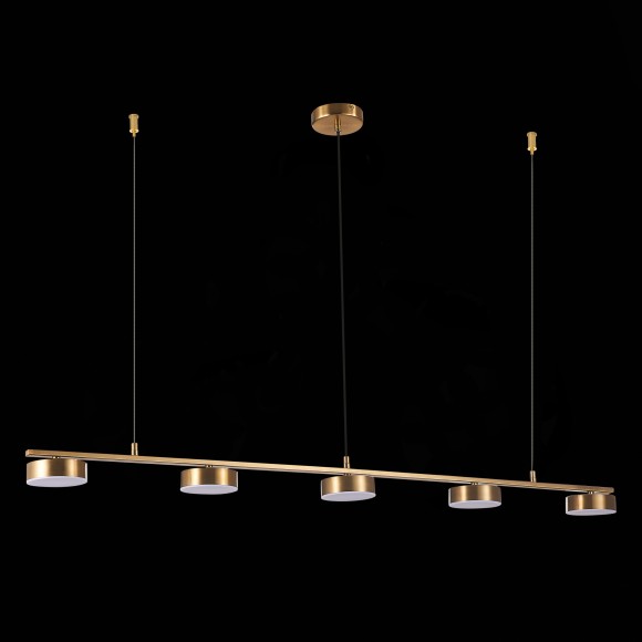 Подвесная светодиодная люстра ST Luce Pances SL6000.303.05