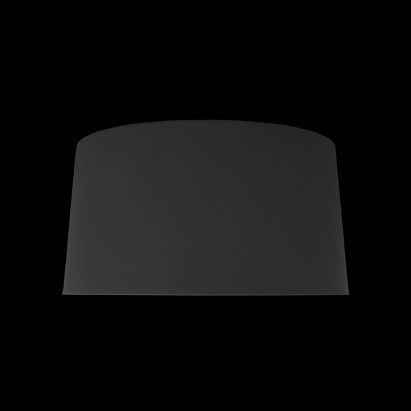 Потолочный светильник Loft IT Duo 10360M Grey