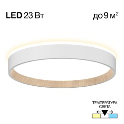 Потолочный светильник Citilux Etalon CL750240