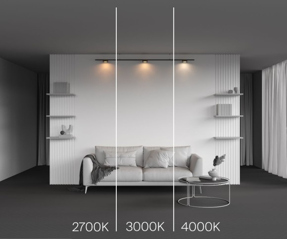 Трековый магнитный светильник Maytoni Zon TR189-1-12W2.7K-BBS