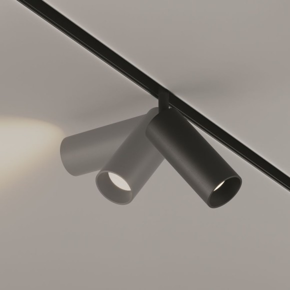 Трековый светодиодный светильник Maytoni Technical Focus Led TR032-2-12W4K-S-B