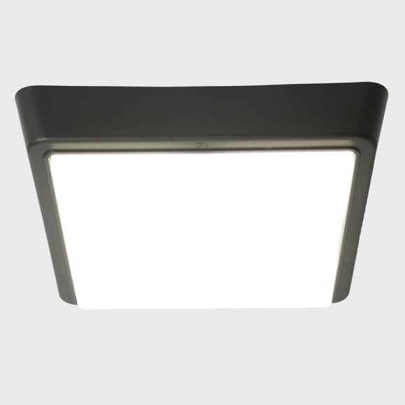 Настенно-потолочный светильник Feron AL3021 51477