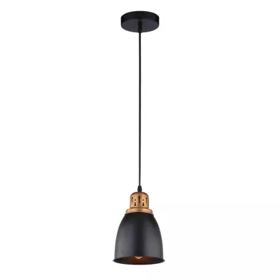 Подвесной светильник Arte Lamp Eurica A4248SP-1BK