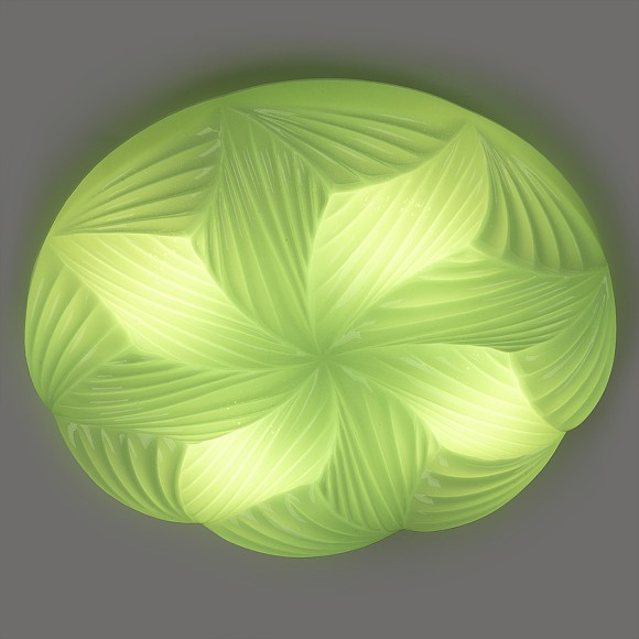 Потолочная светодиодная люстра с пультом управления General Wonderland-3 800392