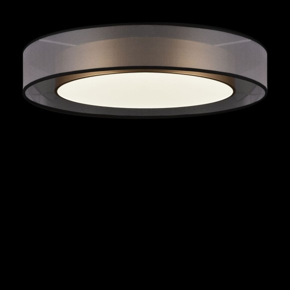 Потолочный светильник Freya Zoticus FR6005CL-L48G