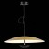 Подвесной светильник ST Luce Armonico SL6502.213.01