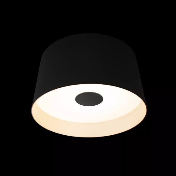Потолочный светильник Loft IT Duo 10360S Black Потолочный светильник Loft IT Duo 10360S Black